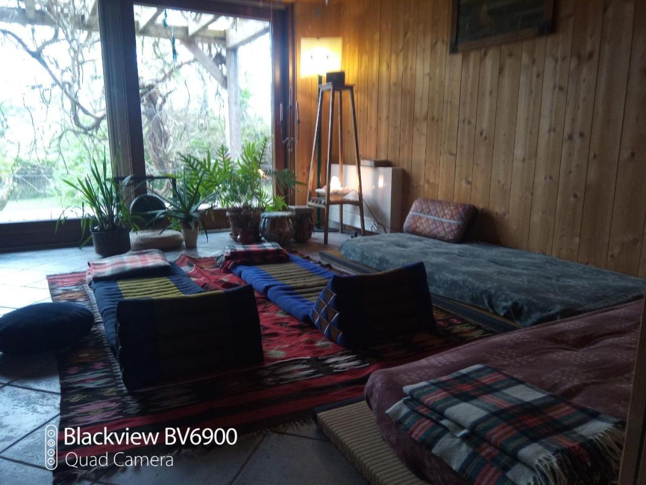 Bioagriturismo Vegan Campo Di Cielo Cesiomaggiore Bagian luar foto