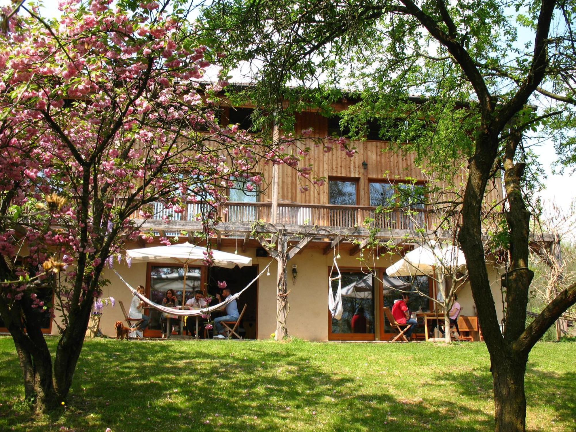 Bioagriturismo Vegan Campo Di Cielo Cesiomaggiore Bagian luar foto