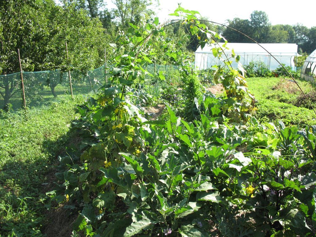 Bioagriturismo Vegan Campo Di Cielo Cesiomaggiore Bagian luar foto