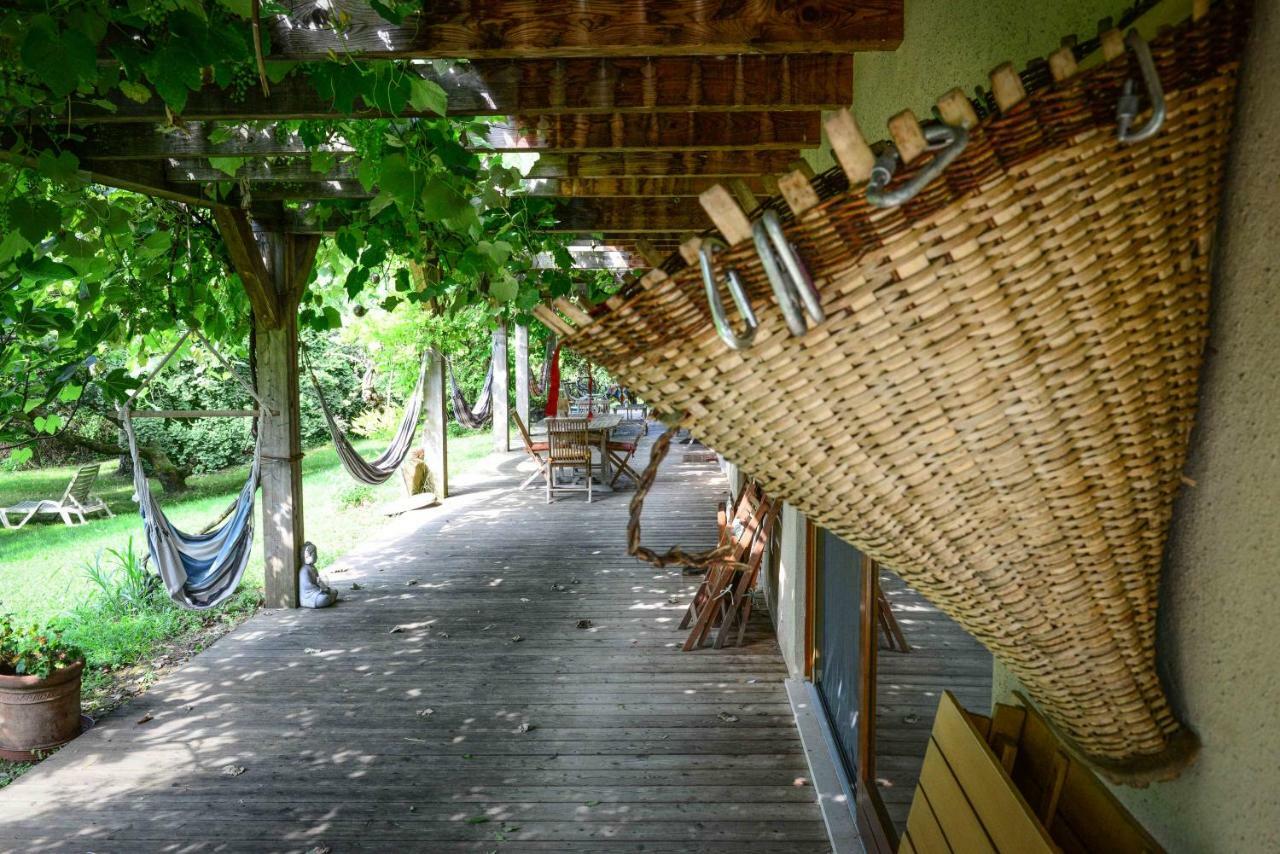 Bioagriturismo Vegan Campo Di Cielo Cesiomaggiore Bagian luar foto