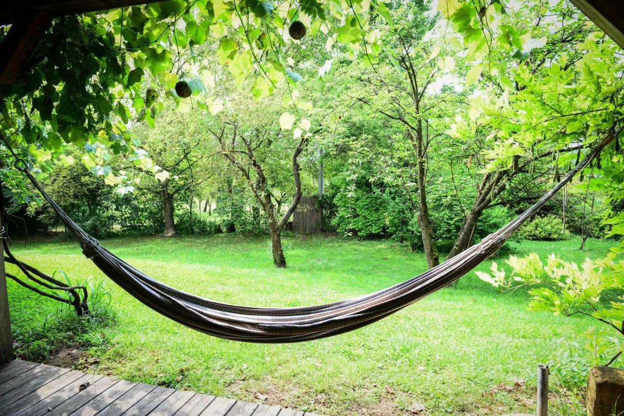 Bioagriturismo Vegan Campo Di Cielo Cesiomaggiore Bagian luar foto