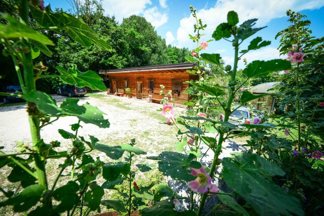 Bioagriturismo Vegan Campo Di Cielo Cesiomaggiore Bagian luar foto